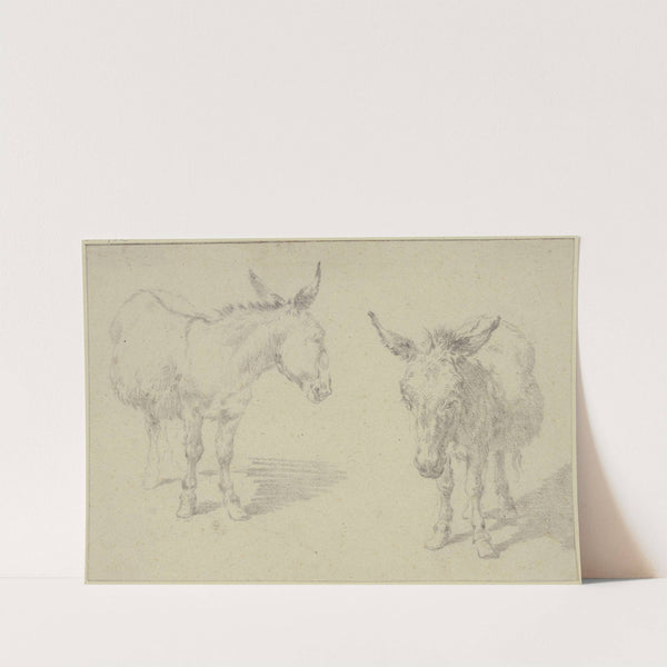 Two donkeys by Nicolaes Pietersz. Berchem