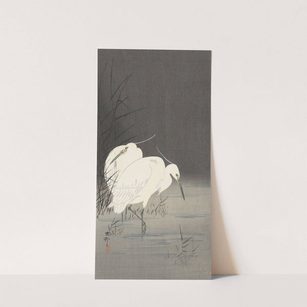 Two egrets in the reeds by Ohara Koson