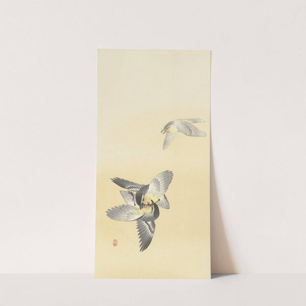 Two fighting birds by Ohara Koson