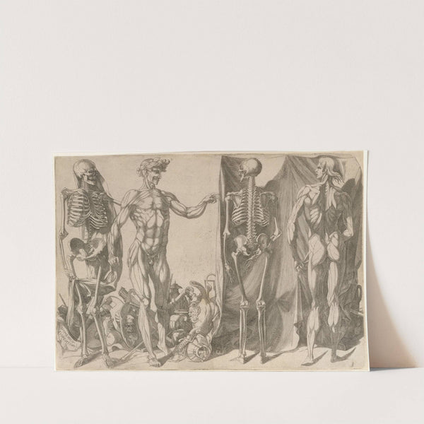 Two Flayed Men and Their Skeletons (ca. 1540–45) by Domenico del Barbiere