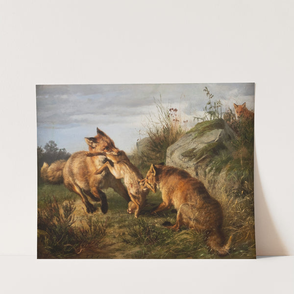 Two foxes fighting for their prey by Carl Friedrich Deiker