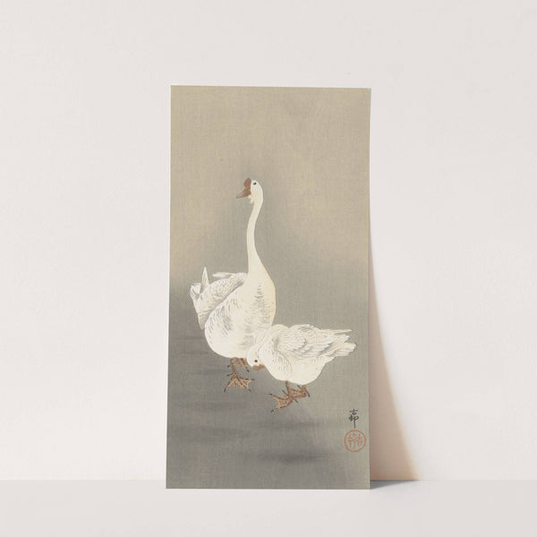 Two geese by Ohara Koson