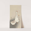Two geese. by Ohara Koson
