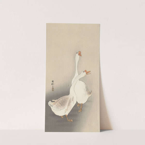 Two geese. by Ohara Koson