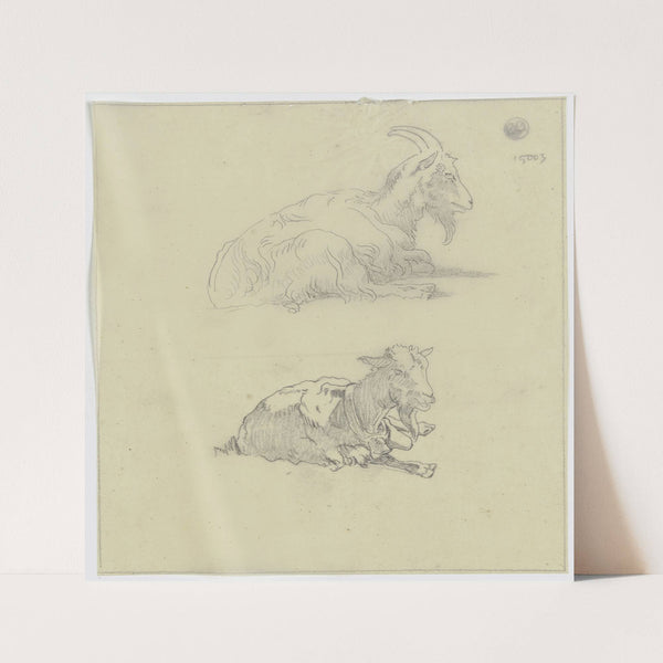 Two goats by Jakob Becker