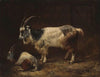 Two Goats (1852)