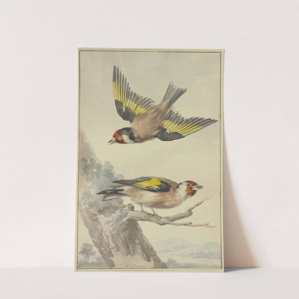 Two goldfinches by Aert Schouman