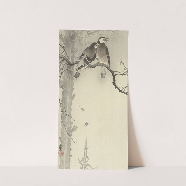 Two gray starlings by Ohara Koson
