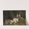 Two Greyhounds by Joannes Fijt
