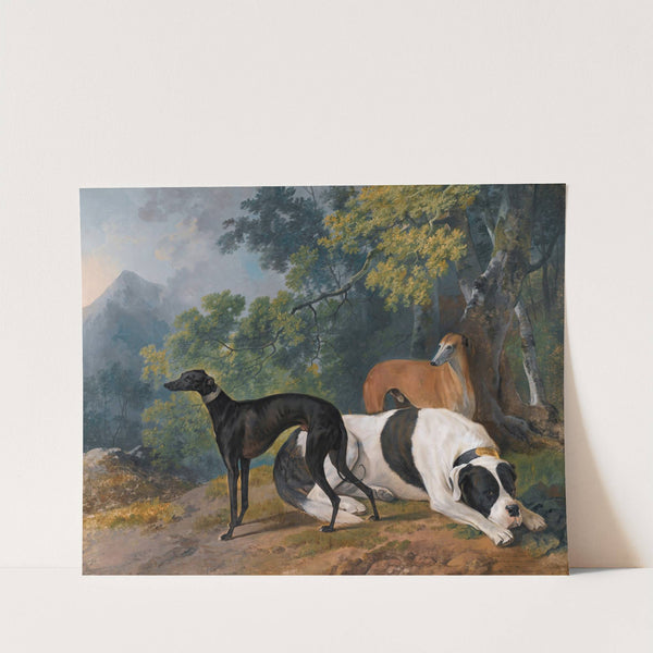 Two Greyhounds And A Mastif Belonging To The Duke Of Hamilton by Sawrey Gilpin