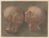 Two heads with veins visible