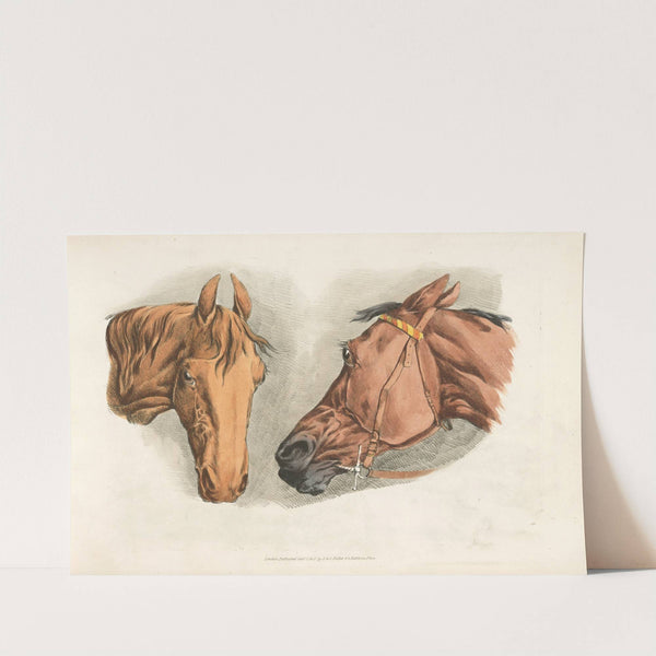 Two horse heads (1817-1818) by Henry Thomas Alken