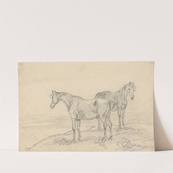 Two Horses by Sawrey Gilpin