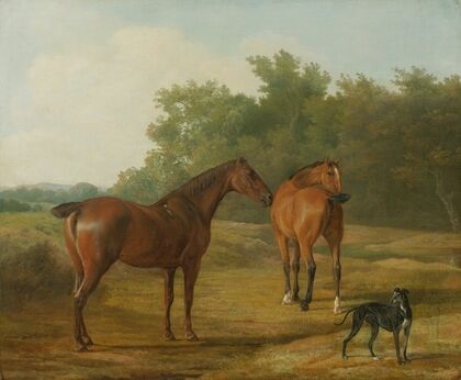 Two Horses And a Greyhound In A Landscape