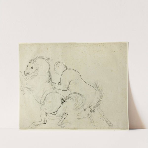 Two Horses Cavorting by Carle Vernet