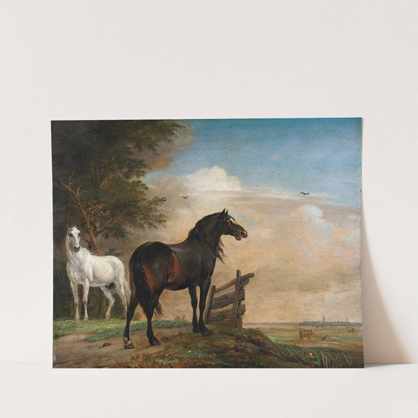 Two Horses in a Meadow near a Gate by Paulus Potter