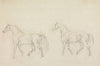 Two Horses Walking to Left