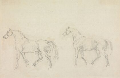 Two Horses Walking to Left
