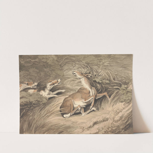 Two Hounds Attacking a Stag at Bay by Samuel Howitt