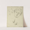 Two human female faces and two noses-one human, animal by Peter Paul Rubens