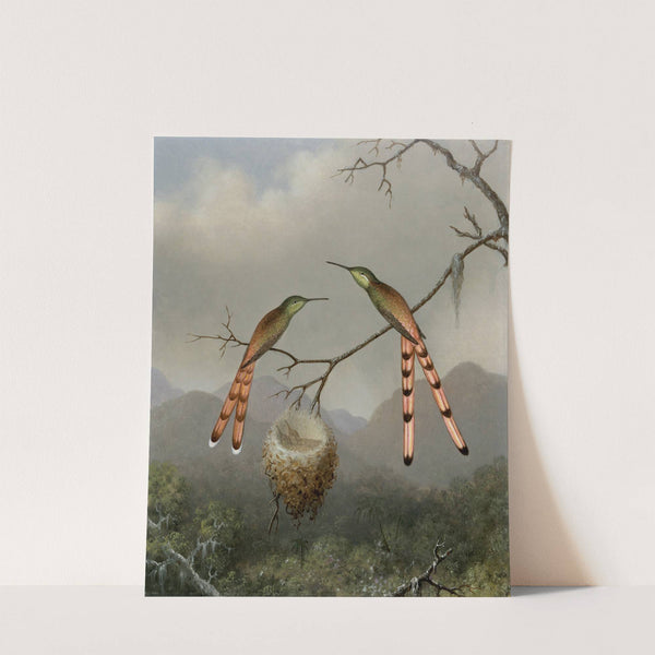 Two Hummingbirds with Their Young (ca. 1865) by Martin Johnson Heade