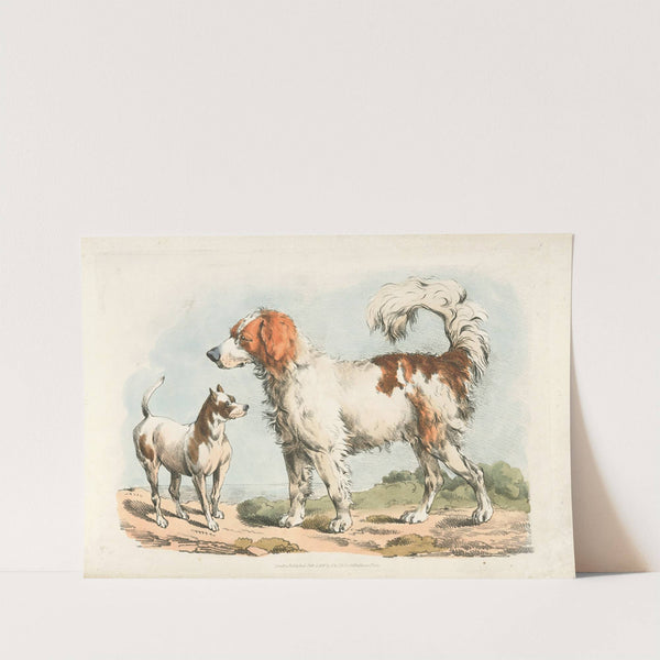 Two hunting dogs (1817-1818) by Henry Thomas Alken