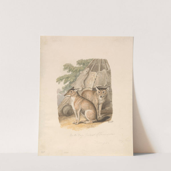 Two Huskies by Samuel Howitt