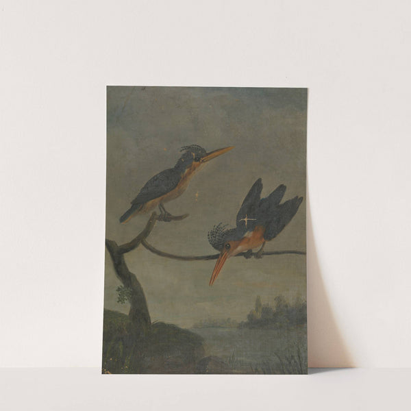 Two Kingfishers beside a Lake by James Sowerby
