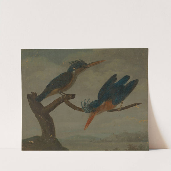 Two Kingfishers beside a Lake. by James Sowerby