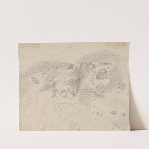 Two Leopards by Sawrey Gilpin