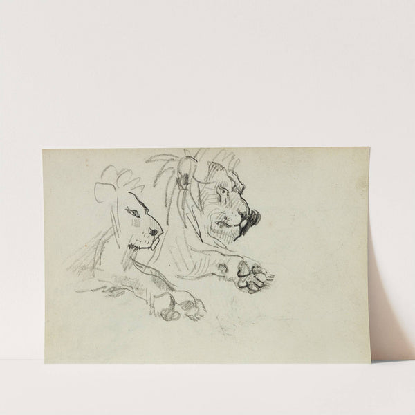 Two lion studies by Théodore Géricault