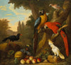 Two macaws, a cockatoo, a red-billed chough and other birds in a landscape with fruit
