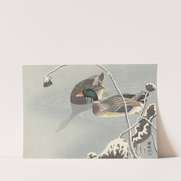 Two Mallards near a Snow-Covered Lotus, by Ohara Koson