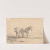 Two Old Horses Standing in a Field by John Sell Cotman