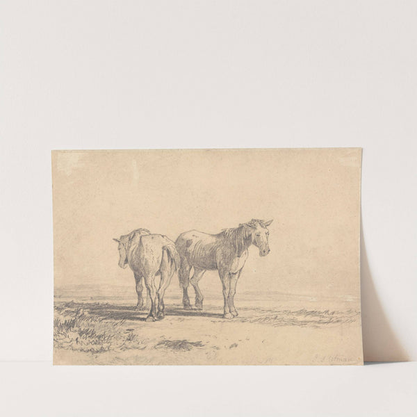 Two Old Horses Standing in a Field by John Sell Cotman