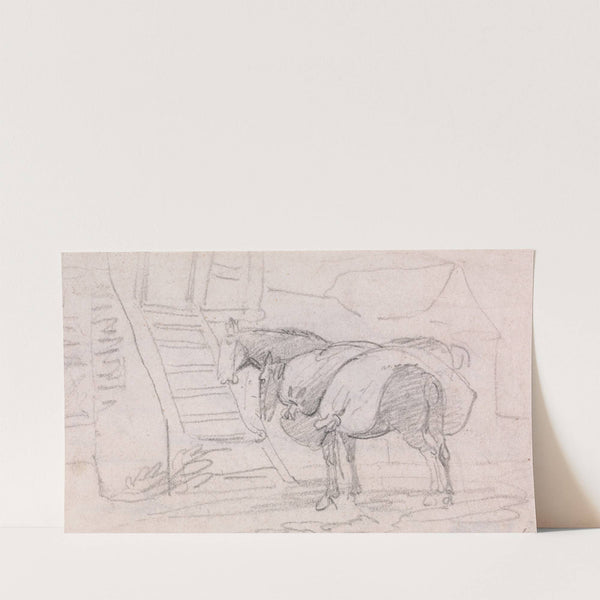 Two Pack Horses by John Varley