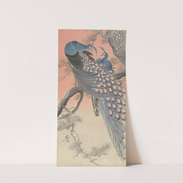 Two peacocks on tree branch by Ohara Koson