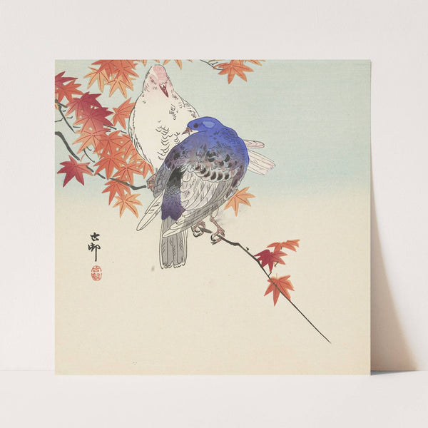 Two pigeons on autumnal branch (1900 - 1936) by Ohara Koson