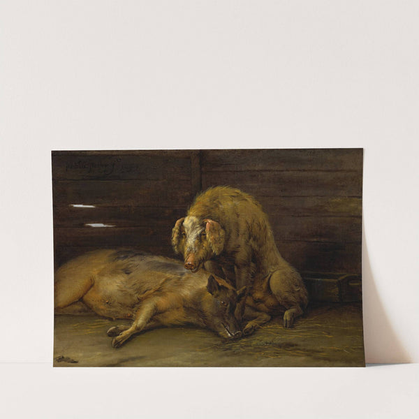 Two Pigs in a Sty (1649) by Paulus Potter