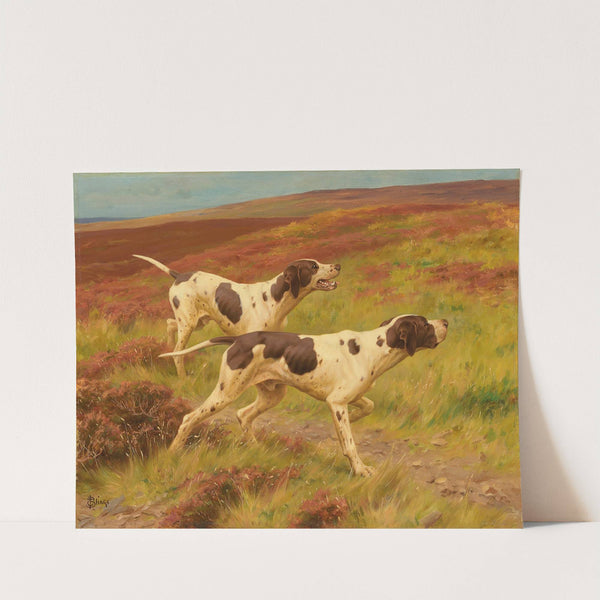 Two pointers in the heather by Thomas Blinks