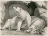 Two polar bears