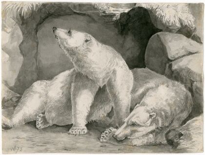 Two polar bears