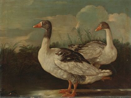 Two Proud Geese (17th Century)