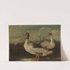Two Proud Geese (17th Century) by Italian School