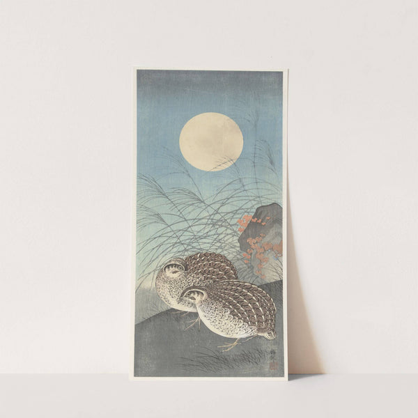 Two quail at full moon by Ohara Koson