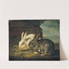 Two Rabbits by David de Coninck