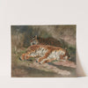 Two Recumbent Tigers by Rosa Bonheur