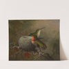 Two Ruby Throats By Their Nest (1862-63) by Martin Johnson Heade