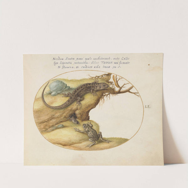 Two Sand Lizards, a Common Parsley Frog, and a Caterpillar (1575-1590) by Joris Hoefnagel