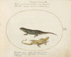 Two Sand Lizards (1575-1590)